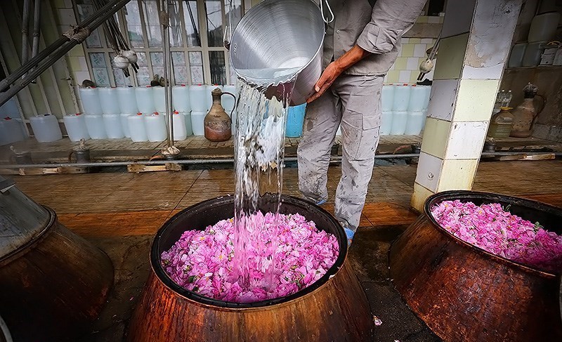 قیمت گلاب اصل