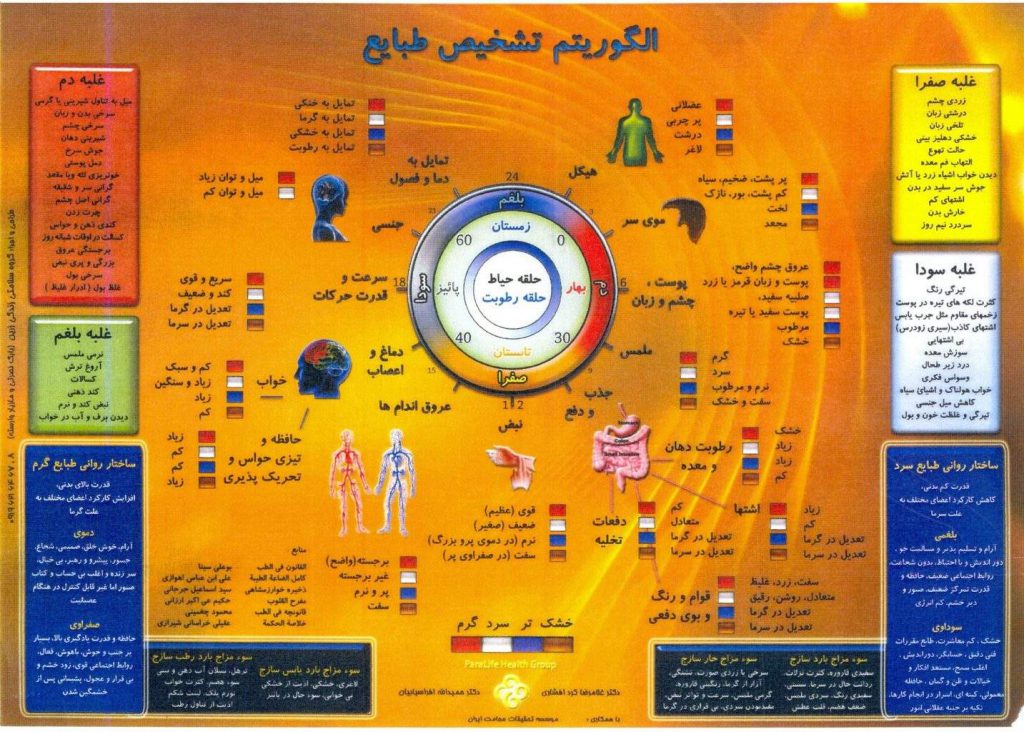 مزاج شناسی و مشخصات انواع مزاج در طب سنتی! شناخت مزاج 1024x732 - مزاج شناسی و مشخصات انواع مزاج در طب سنتی!